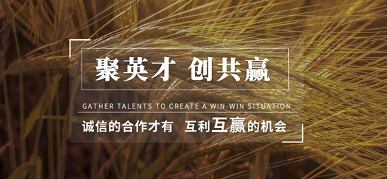 �ӱ��к���չ���޹�˾